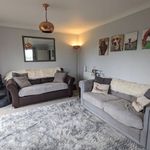 Rent 4 bedroom house in East Midlands