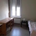 Huur 1 slaapkamer appartement in Kortrijk