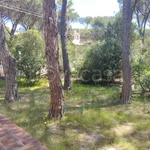 Rent 6 bedroom house of 315 m² in Pula