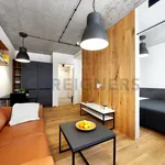 Rent 1 bedroom apartment of 34 m² in Brno