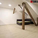 Rent 1 bedroom apartment of 50 m² in Brno