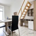 Rent 1 bedroom apartment of 24 m² in Brno