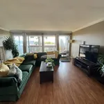 Rent 4 bedroom house in Mission Valley