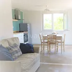 Rent 2 bedroom apartment of 45 m² in Valverde