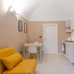 Rent 1 bedroom apartment of 55 m² in turin