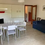 Rent 3 bedroom apartment of 80 m² in Silvi