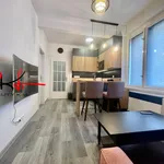 Rent 1 bedroom apartment of 42 m² in Praha