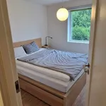 Rent 2 bedroom apartment of 55 m² in Trondheim