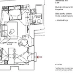 Pronajměte si 1 ložnic/e byt o rozloze 43 m² v Capital City of Prague