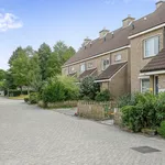 Rent 3 bedroom apartment of 121 m² in Emmen