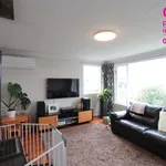 Rent 3 bedroom house in Dunedin