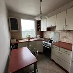 Rent 3 bedroom apartment of 62 m² in Łódź