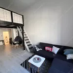 Rent 1 bedroom apartment of 48 m² in budapest