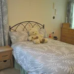 Rent 1 bedroom apartment in East Of England