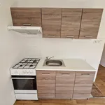 Rent 1 bedroom apartment in Chomutov