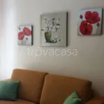 Rent 2 bedroom apartment of 55 m² in Sant'Arcangelo