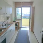 Rent 1 bedroom apartment of 43 m² in Graz