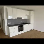 Miete 2 Schlafzimmer wohnung von 53 m² in Nürnberg