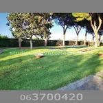 Rent 1 bedroom apartment of 35 m² in Roma