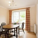 Rent 3 bedroom house in Cardiff