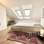 Rent 3 bedroom apartment of 126 m² in Capital City of Prague