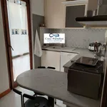 Rent 3 bedroom apartment of 120 m² in Carrara