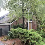 Huur 5 slaapkamer huis van 140 m² in Hanevoet