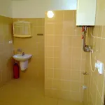 Pronájem zděného rek. bytu 1+KK (Hranice, 30 m2)