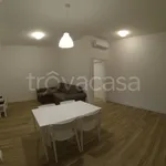 Rent 3 bedroom apartment of 85 m² in Verona