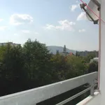 Rent 1 bedroom apartment of 43 m² in Graz