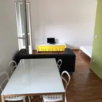 Rent 1 bedroom apartment of 45 m² in Turin