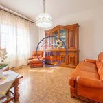 Rent 4 bedroom apartment of 90 m² in Camaiore