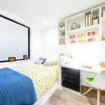 Rent 1 bedroom apartment in Canterbury