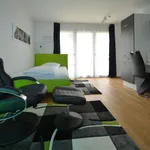 Rent 1 bedroom apartment of 32 m² in Mörfelden-Walldorf