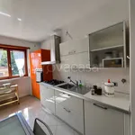 Rent 2 bedroom apartment of 75 m² in Torino