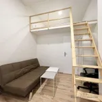 Rent 1 bedroom apartment of 23 m² in Brno