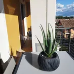 Rent 3 bedroom apartment of 90 m² in Frosinone