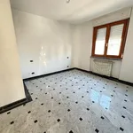 Affitto 3 camera appartamento di 76 m² in Carrara