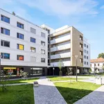 Pronajměte si 3 ložnic/e byt o rozloze 82 m² v Pardubice