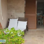 Rent 3 bedroom apartment of 50 m² in Pisa