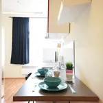 Rent 1 bedroom apartment of 33 m² in Prague