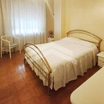Rent 5 bedroom apartment of 140 m² in Campobasso