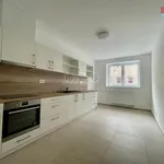 Pronajměte si 2 ložnic/e byt o rozloze 55 m² v Tábor