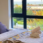 Rent 2 bedroom apartment in dublin