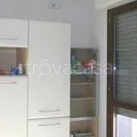 Rent 3 bedroom apartment of 60 m² in Firenze