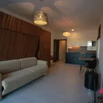 Rent 1 bedroom apartment in Capital City of Prague