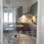 Rent 6 bedroom apartment of 100 m² in Livorno