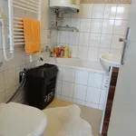 Rent 1 bedroom apartment in Hodonín