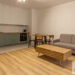 Rent 2 bedroom apartment of 47 m² in Katowice