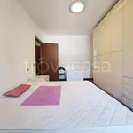 Rent 2 bedroom apartment of 60 m² in Milano